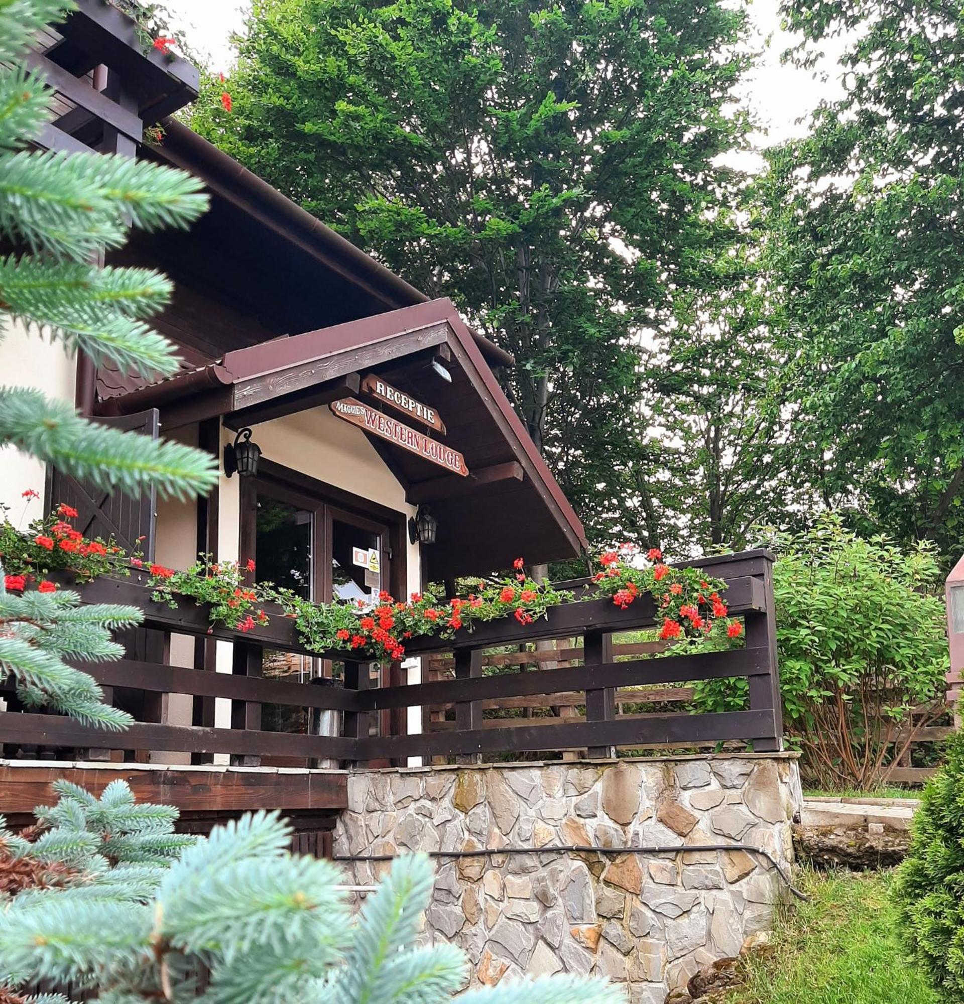 Maggie'S Ranch Hotel Rîşnov Ngoại thất bức ảnh