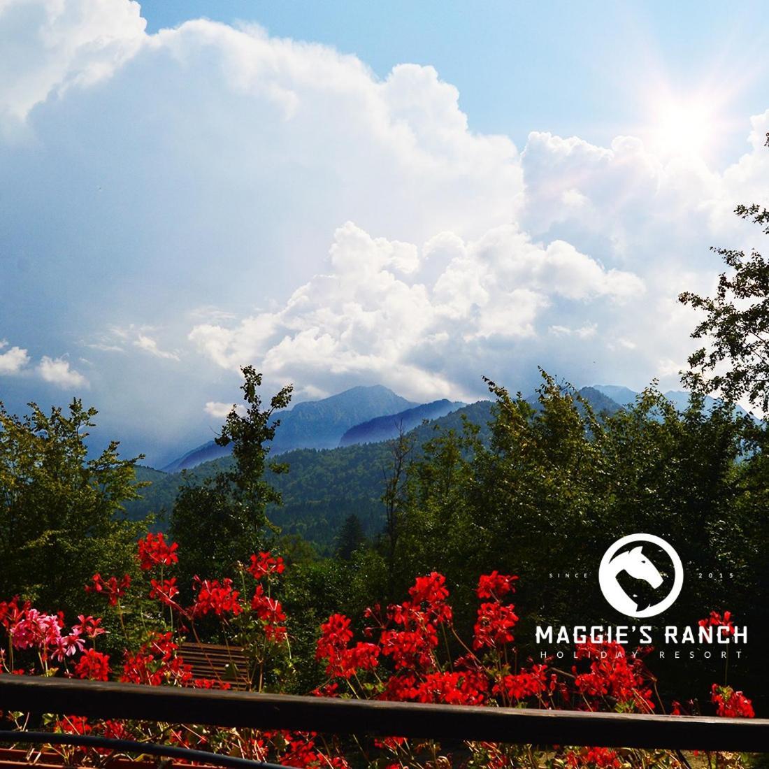 Maggie'S Ranch Hotel Rîşnov Ngoại thất bức ảnh